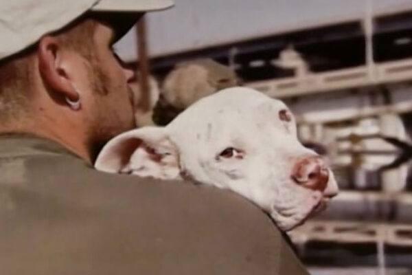 Photo of Animal Rescue Volunteer carrying a rescued dog