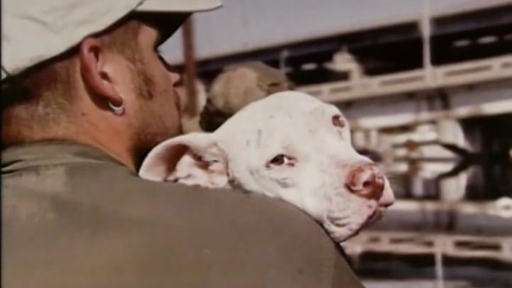 Dateline: Animal Rescue